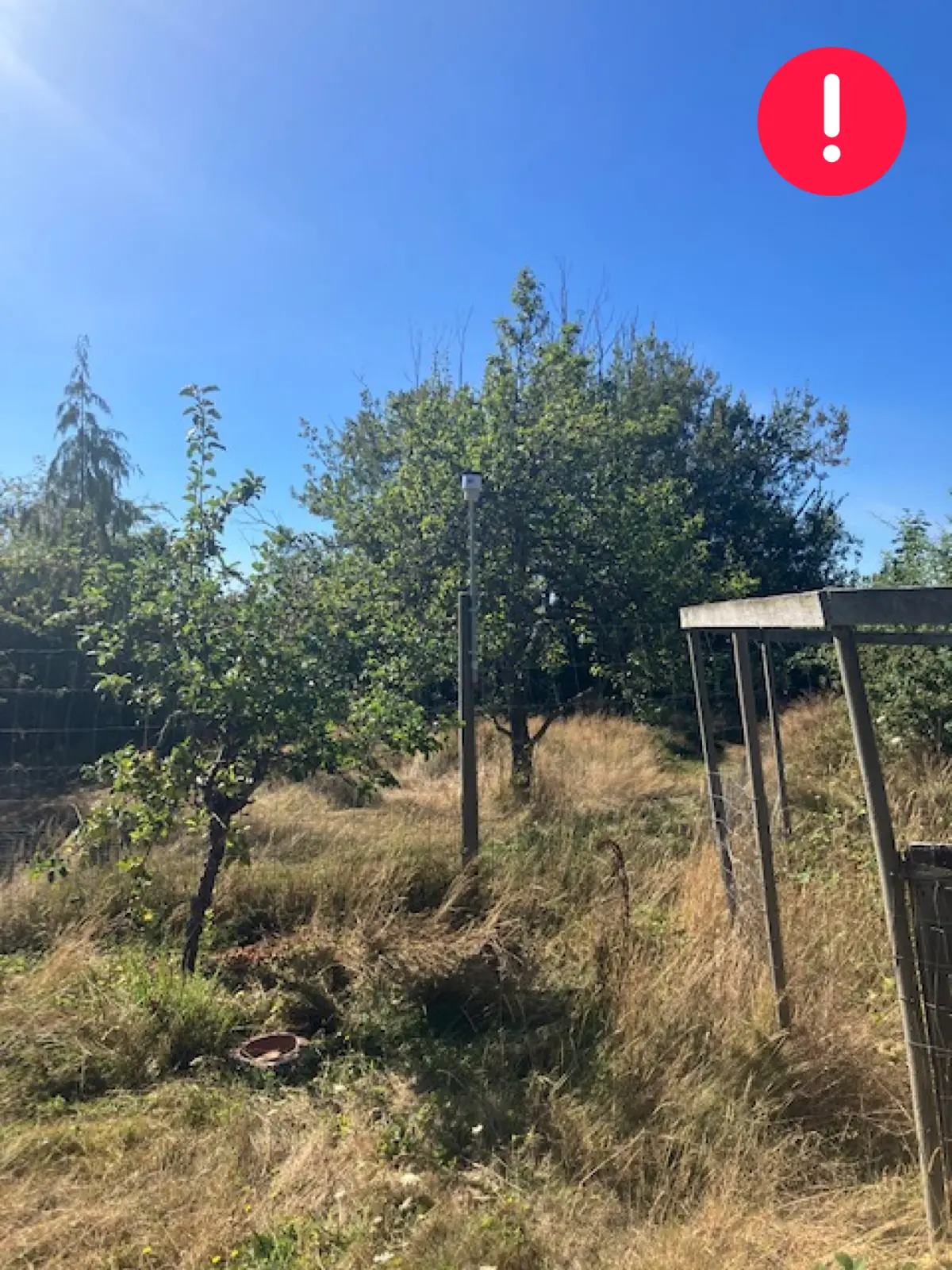 South-facing view from a WeatherXM station surrounded by trees